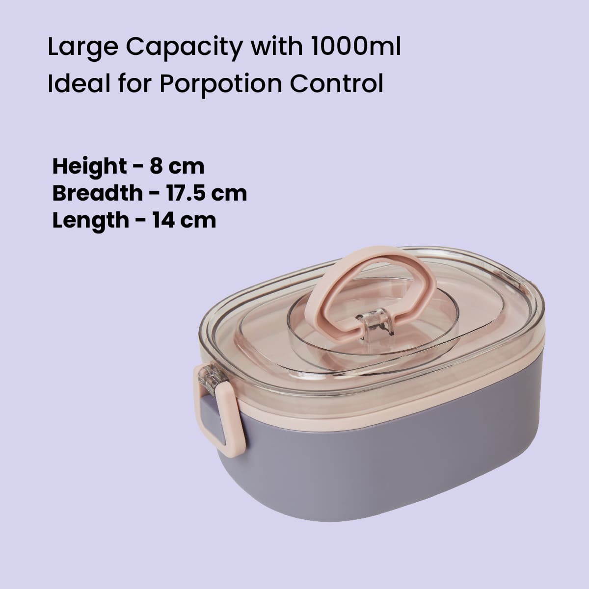 Small Stainless Steel Lunchbox with Spoon - Pink & Purple